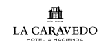 logo-caravedo-gray